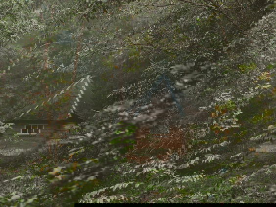 Lekkere Track: Boshuis