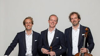 Violist Wouter Vossen over het Storioni Festival 2026