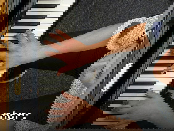 Earbites: Nikola Meeuwsen