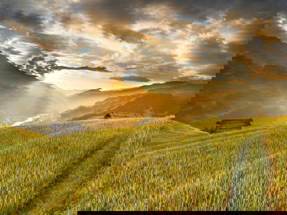 RadioReisDienst: Idyllisch landschap