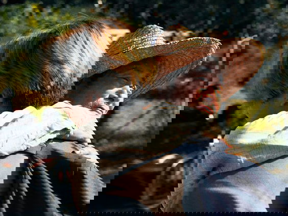 Filmtip - Riceboy Sleeps