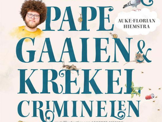 Het gesprek - Auke-Florian Hiemstra