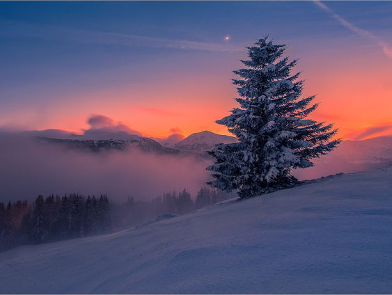 Kettingreactie 17 januari 2023