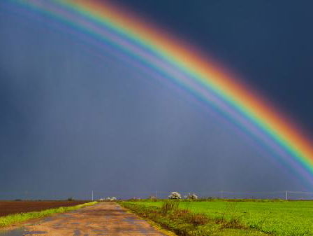 Lekkere Track: Vredige regenboog