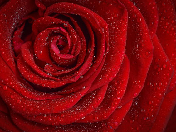 Kettingreactie 1 juni 2023