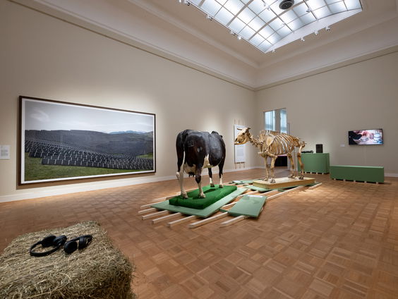 Museumtip: Van wie is het platteland?