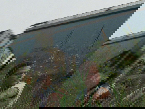 Filmtip - The Maiden