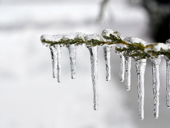 Kettingreactie 9 januari 2023