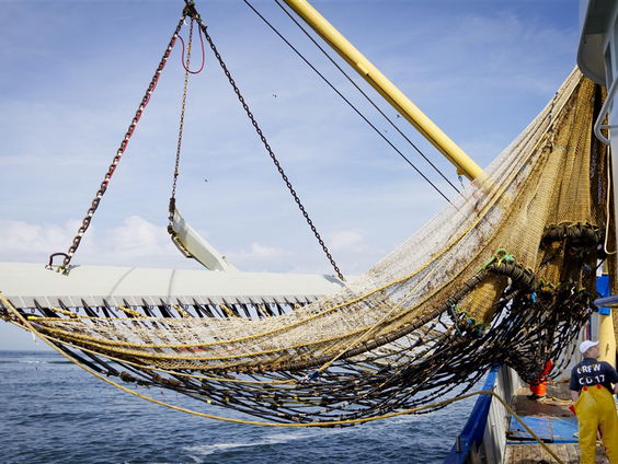 De Bewuste Visweek begint