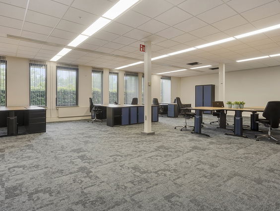 De dromenvanger, nr. 222: "Interieur"