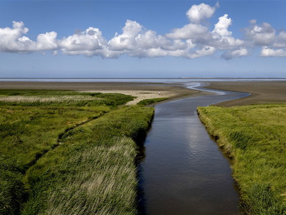 De Jaargetijden: Waddenzee
