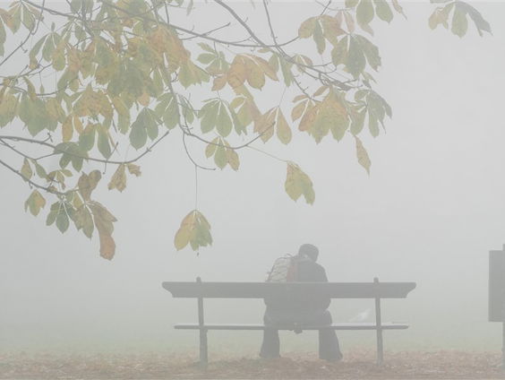 Onderzoeker Laura Wesseldijk over muzikaliteit en depressie