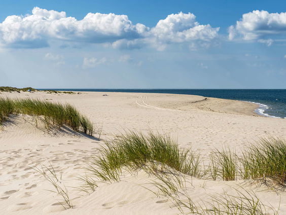 De dromenvanger, nr. 173: "Messiah op de wadden"