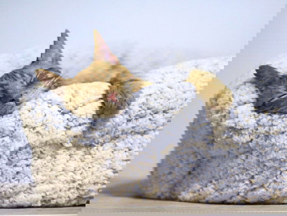 Lekkere Track: Even opladen...!