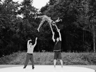 Het talent - Marieke Thijssen