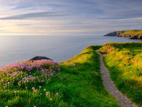 Kettinreactie 28 maart 2022