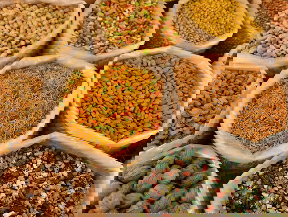 Lekkere Track: Peulvruchtenrecept