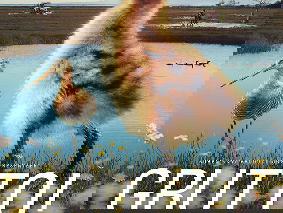 Stemadvies Filmmuziek Top 100 - "Grutto!" van Sofia Dragt