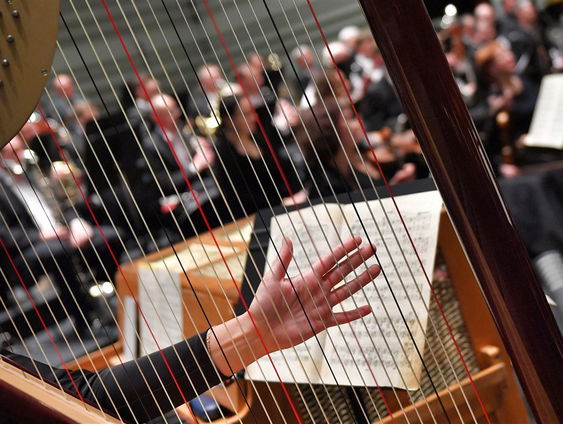 Het Dutch Harp Festival laat zien hoe veelzijdig de harp is