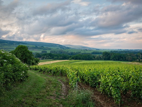 Kettingreactie 18 augustus 2023