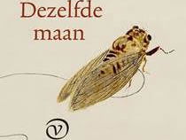 Het gesprek - Dorien Dijkhuis