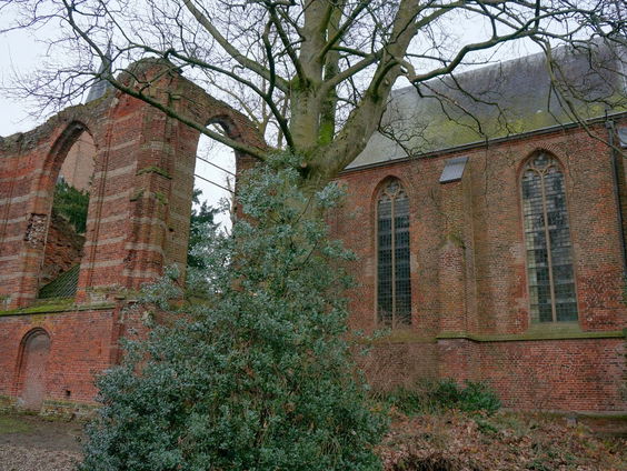 De Dromenvanger, nr. 263: Kerkruïne