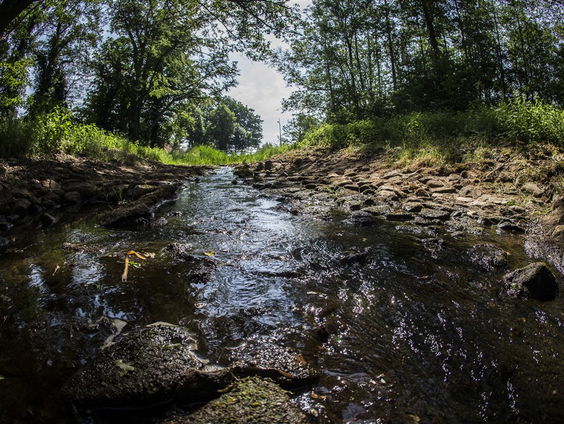 Nederlandse beken zijn nu op zijn mooist