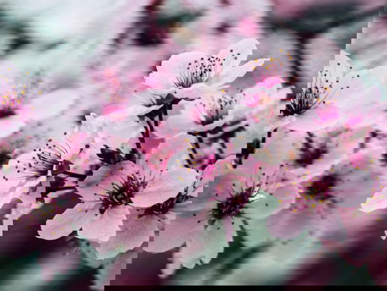 Voor De Dag Aubade #17