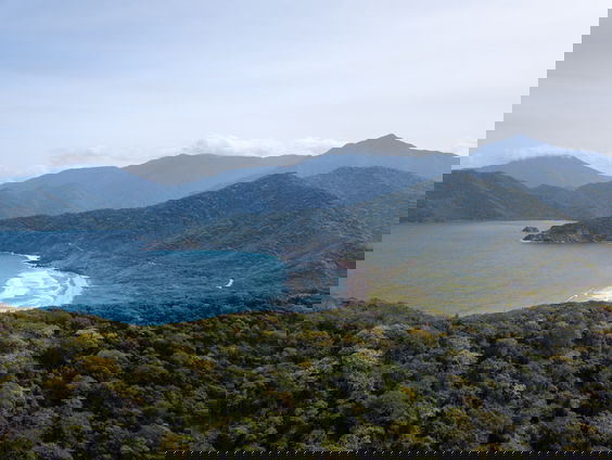 Lekkere Track: Nieuwe favoriete film