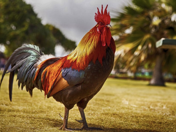 Kettingreactie 22 september 2023