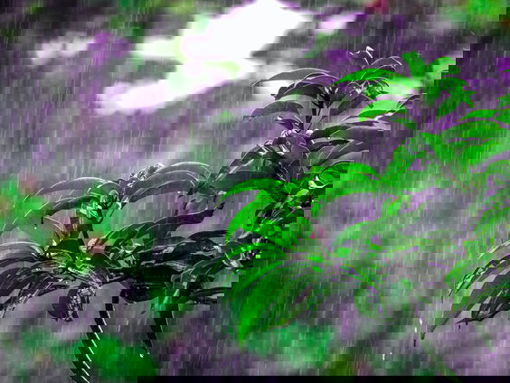 Lekkere Track: Naar buiten!