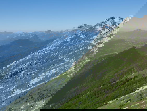 RadioReisDienst: Favoriete zangtaal