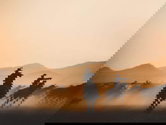 RadioReisDienst: Twee Eenzame Cowboys