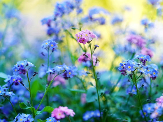 Kettingreactie 31 maart 2023