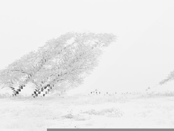 Lekkere Track: Sneeuwval