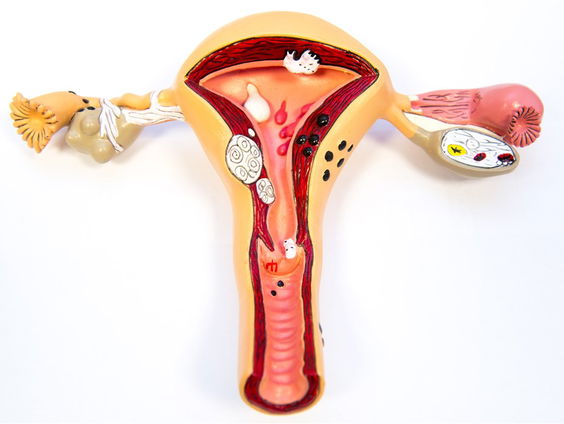 Week van de overgang begint