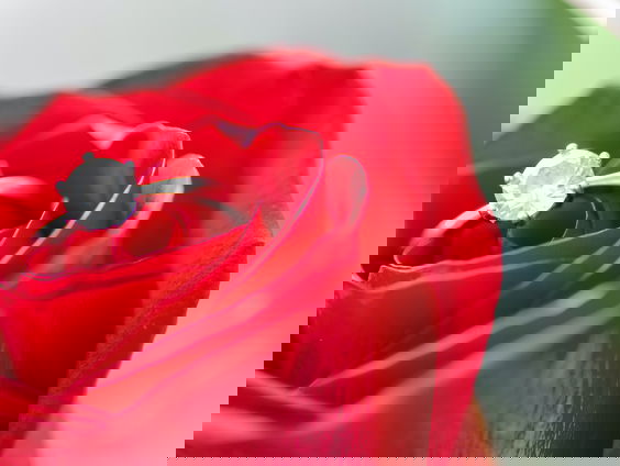 Lekkere Track: Trouw aan jezelf blijven