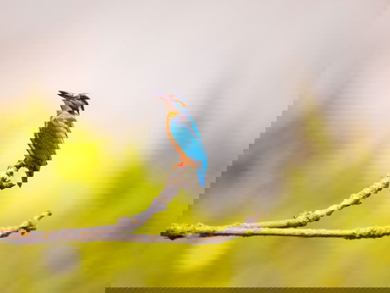 Lekkere Track: De ochtendrust herontdekken