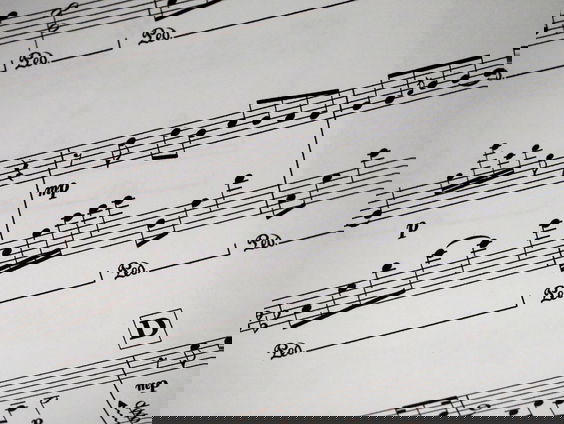 Lekkere Track: Nieuwe ontdekking