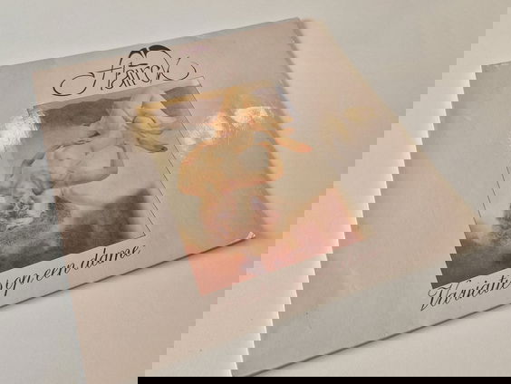 Plaatwerk #3: Flairck - Variaties op een dame