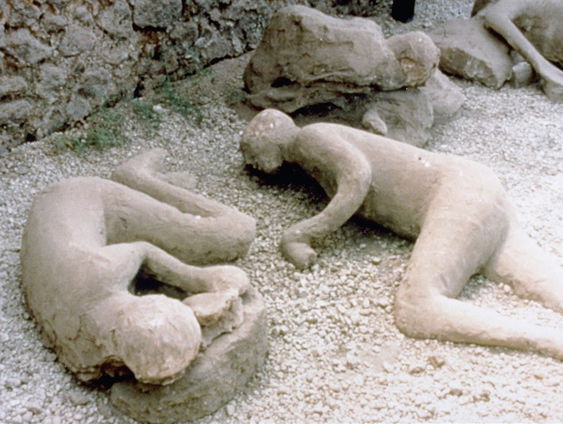 Museumtip: "Sterven in schoonheid"