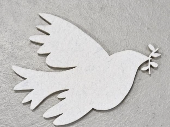 Hollandse Nieuwe! Paloma Project III, van Emily Beynon & Andrew West, deel 1: duif