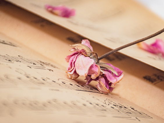 Kettingreactie 18 april 2024