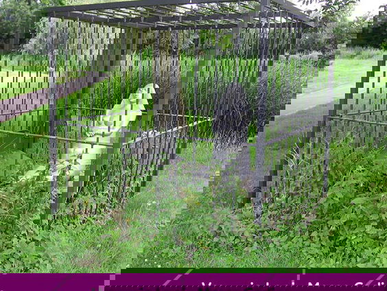 Buitenkunstverkiezing 2022: 'Vrouw in kooi' van Marga Carlier