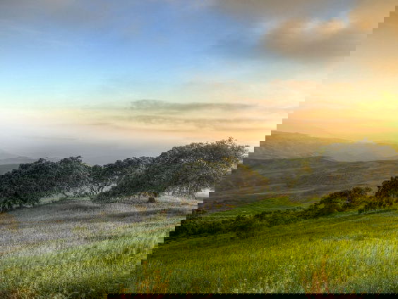 Encore #2 - John Field