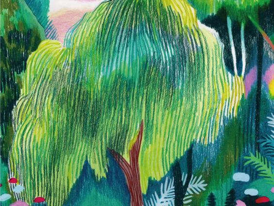 Boek van de Week: De Geliefden