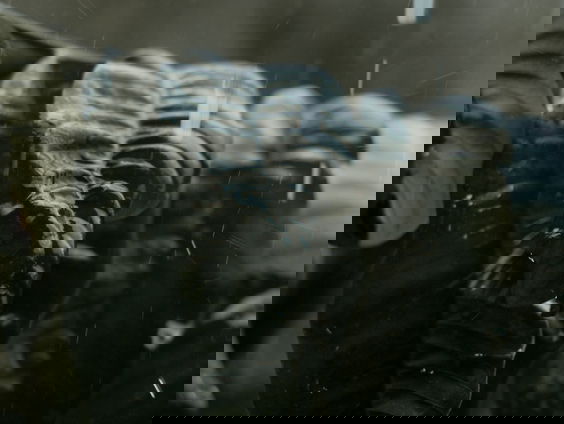 Lekkere Track: April Song