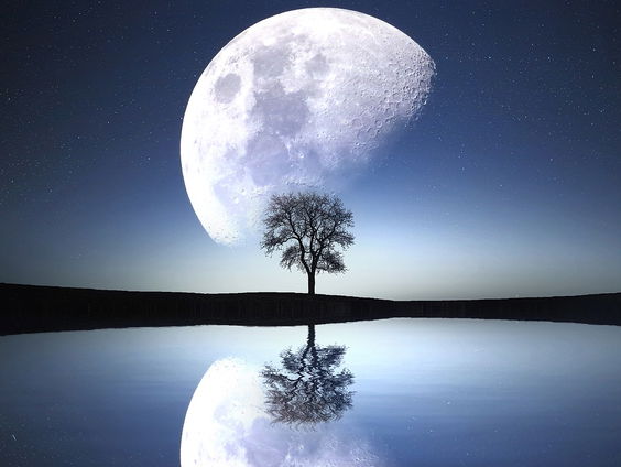 Kettingreactie 11 augustus 2023