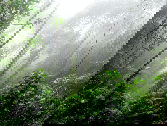 Lekkere Track: Disney is jarig!