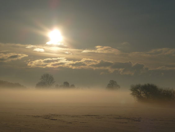 Mooi Moment: Duofiets